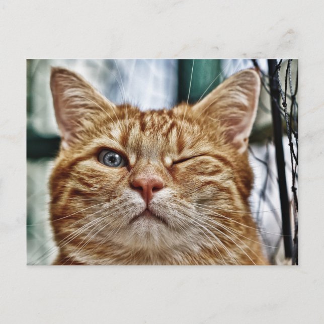 Postales estándar (Anverso)