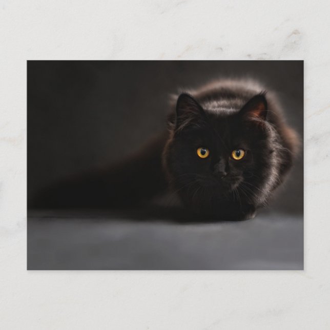 Postales estándar (Anverso)