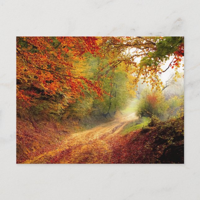 Postales estándar (Anverso)