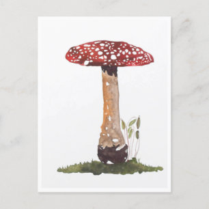 Postales - Estudio Fly Agaric Mushroom Watercolor