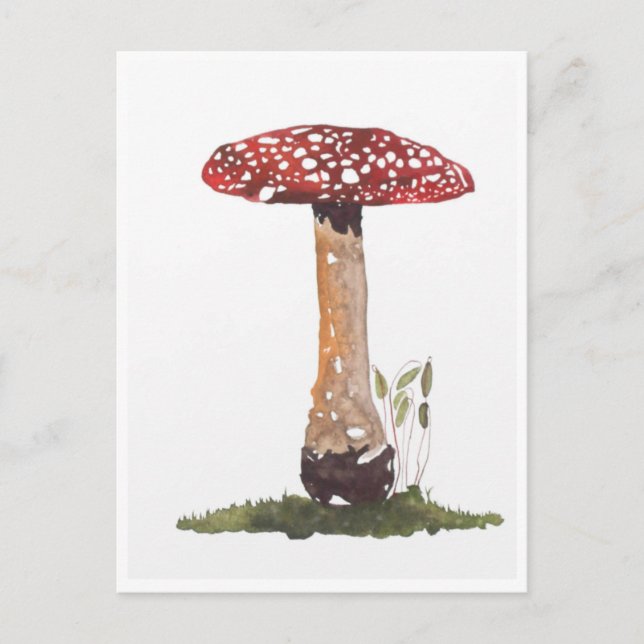 Postales - Estudio Fly Agaric Mushroom Watercolor (Anverso)