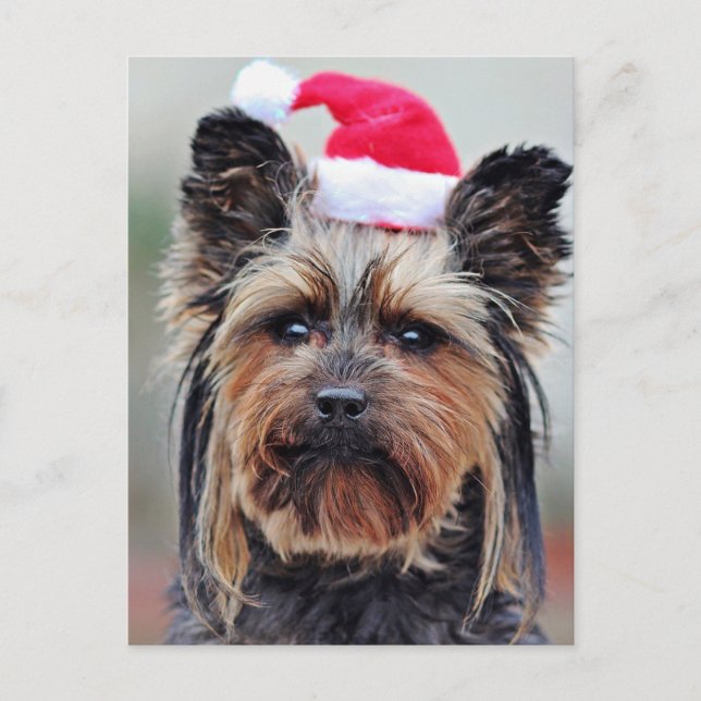 Postales festivas (Anverso)