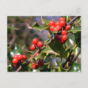 Postales festivas de Berries