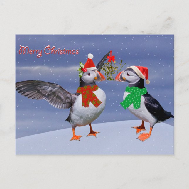Postales festivas de los puffins (Anverso)