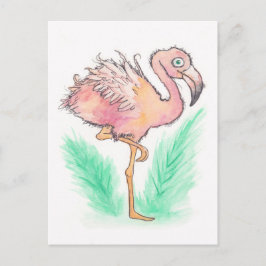 Postales Flamingo