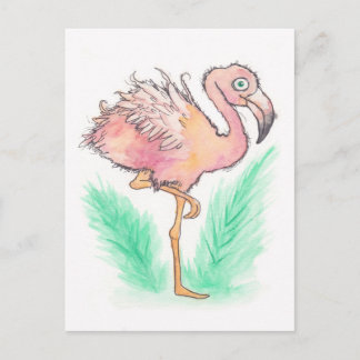 Postales Flamingo