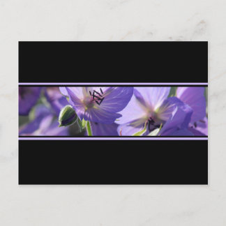 Postales Floral Morado Negro Y Blanco