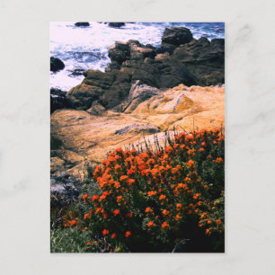 Postales florales costeras de California