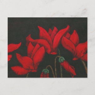 Postales florales "Cycalman"