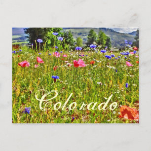 Postales florales de Colorado