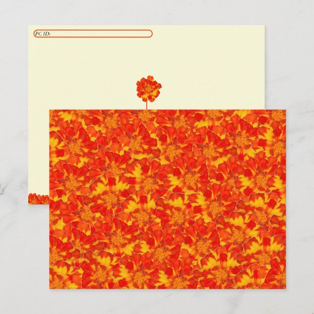 Postales florales de naranja y Marigold Rojo (Anverso / Reverso)