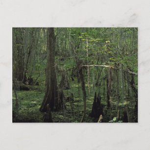 Postales fotográficas de Louisiana, Personalizado 