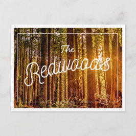 Postales fotográficas de secuoyas de California