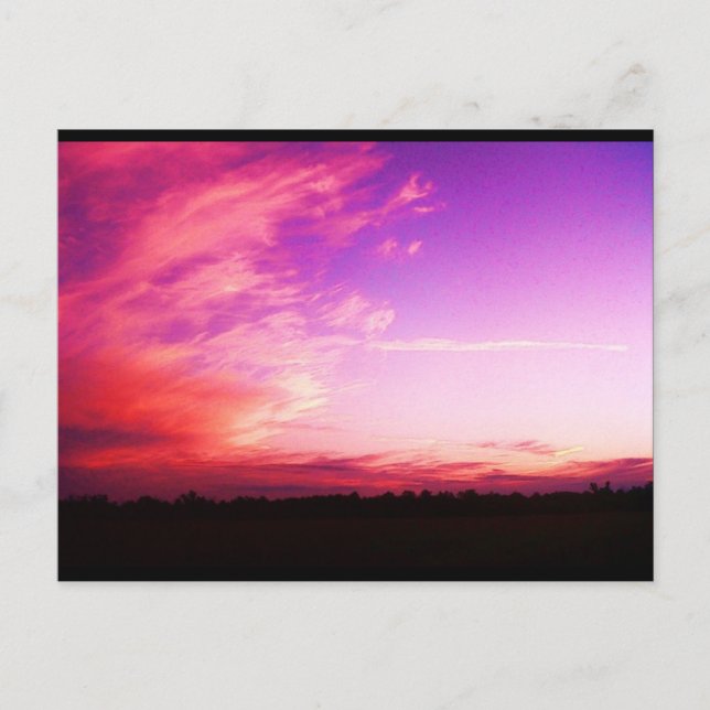 Postales fotográficas de Slushpuppys (Anverso)