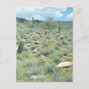 Postales fotográficas de Sonoran Arizona