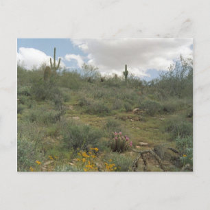 Postales fotográficas de Sonoran Arizona para la s
