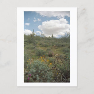 Postales fotográficas de Sonoran Arizona para la s