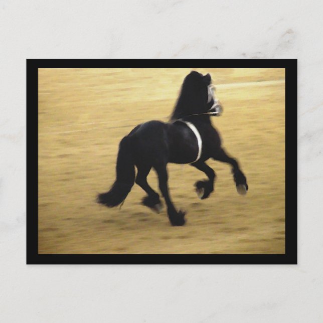 Postales Friesianas (Anverso)