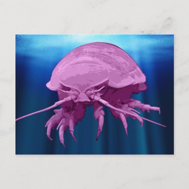 Postales gigantes de Isopod (Anverso)