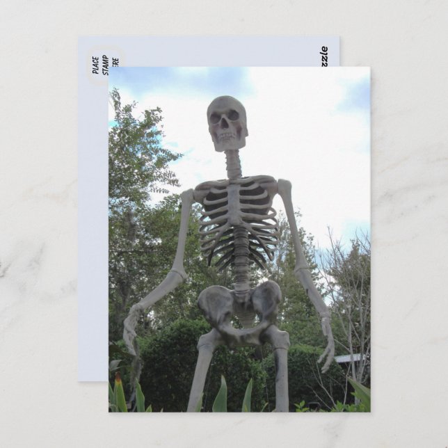 Postales gigantes de Skeleton Halloween (Anverso / Reverso)