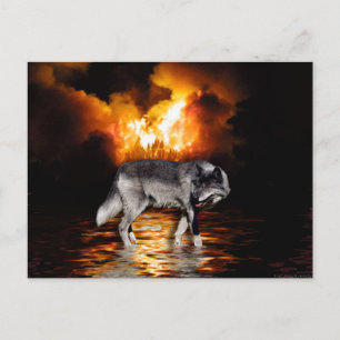Postales Gray Wolf