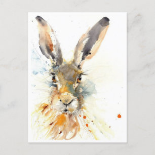 Postales - ¡Hare Today se fue mañana!