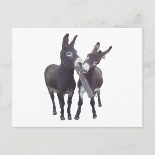 Postales horizontales de "Burros de Missy"