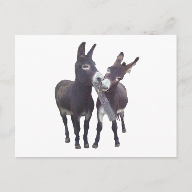 Postales horizontales de "Burros de Missy" (Anverso)