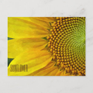 Postales horizontales de girasol