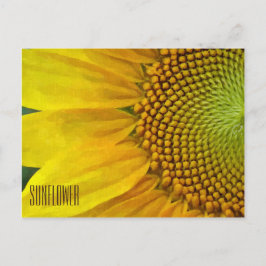 Postales horizontales de girasol