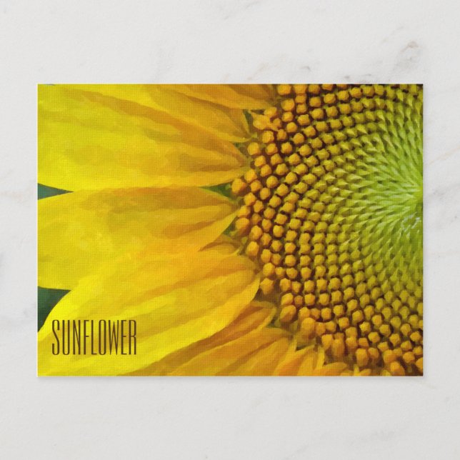 Postales horizontales de girasol (Anverso)