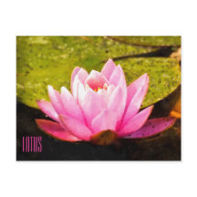 Postales horizontales de Lotus rosa