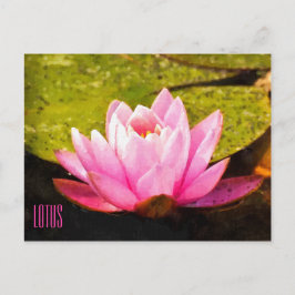 Postales horizontales de Lotus rosa