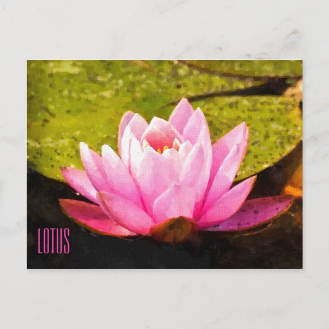 Postales horizontales de Lotus rosa (Anverso)