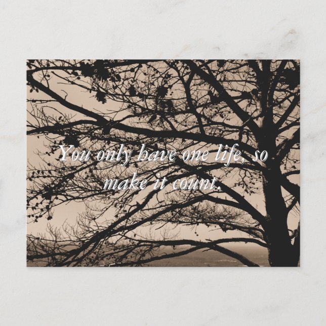 Postales inspiradoras de citas fotográficas (Anverso)