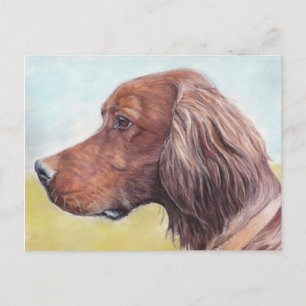 Postales irlandesas de arte de los perros arreglad