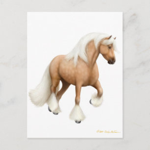Postales irlandesas para caballos de culto