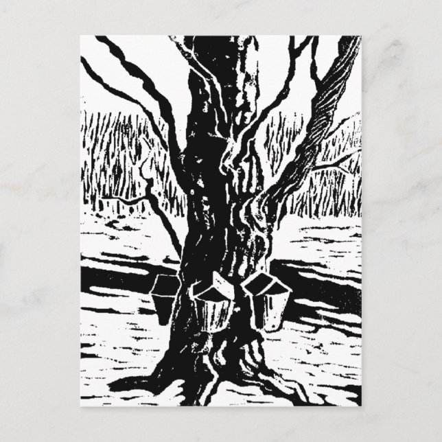 Postales mágicas de primavera (Anverso)