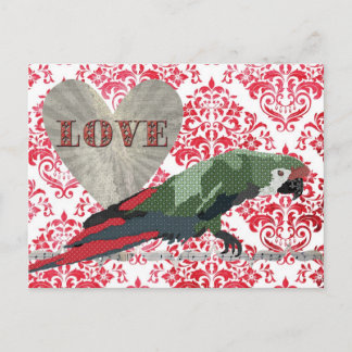 Postales Majestic Macaw Love Damask