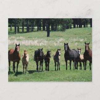 Postales - Mares & Fotogramas