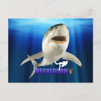 Postales Megalodon