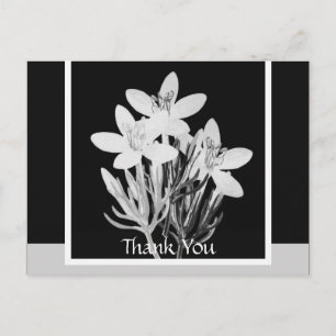 Postales Minimalistas florales en blanco y negro
