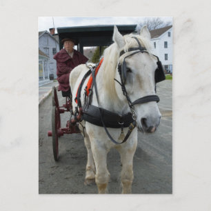 Postales místicas para caballos
