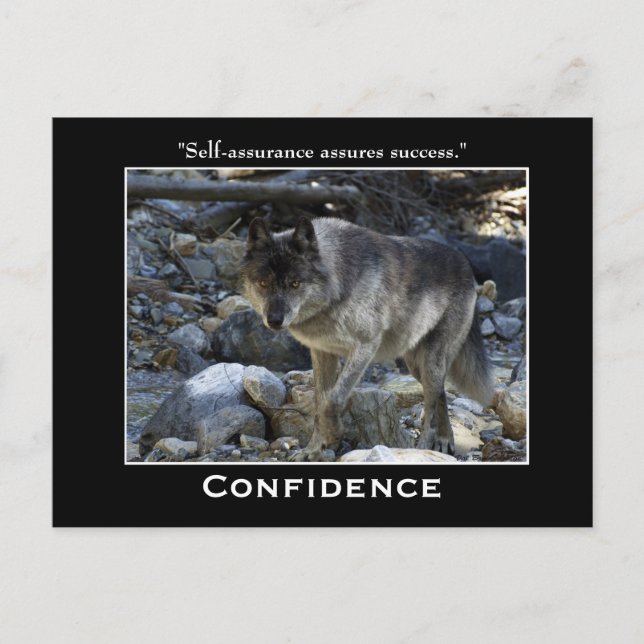 Postales motivacionales del lobo gris (Anverso)