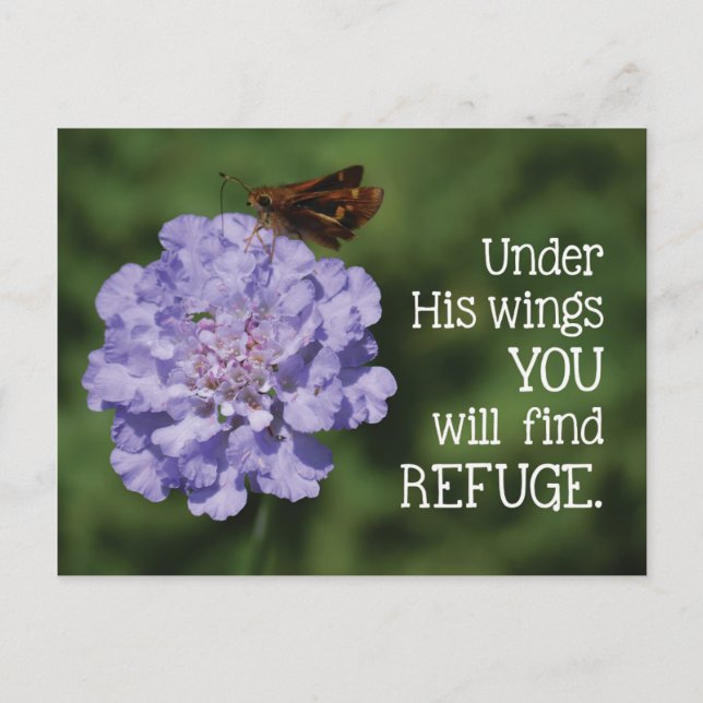 Postales motivadoras (Anverso)