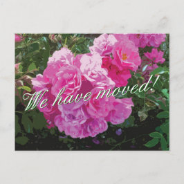 Postales móviles con flores rosadas