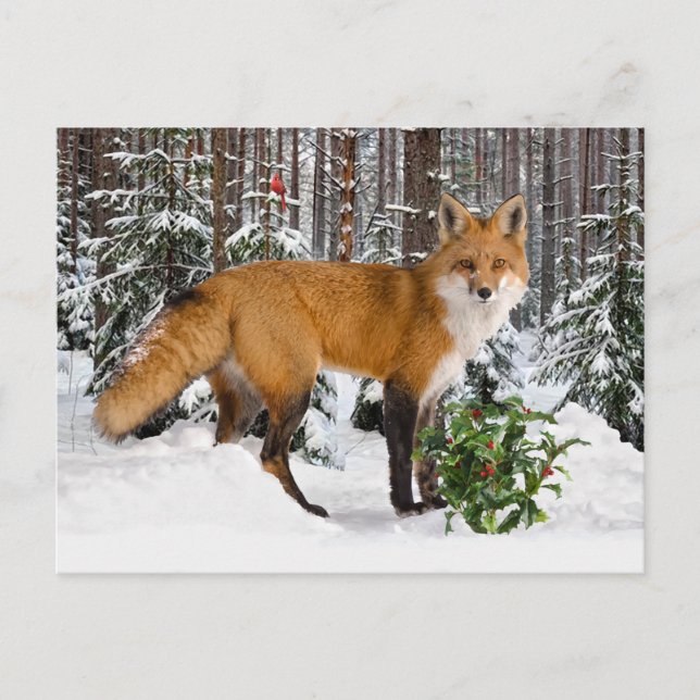 Postales navideñas de "Winter Fox" (Anverso)