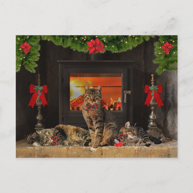 Postales navideñas "Happy Holiday Cats" (Anverso)