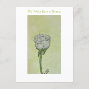 Postales o notas de la rosa blanca