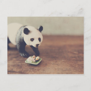 Postales Panda Y Sushi